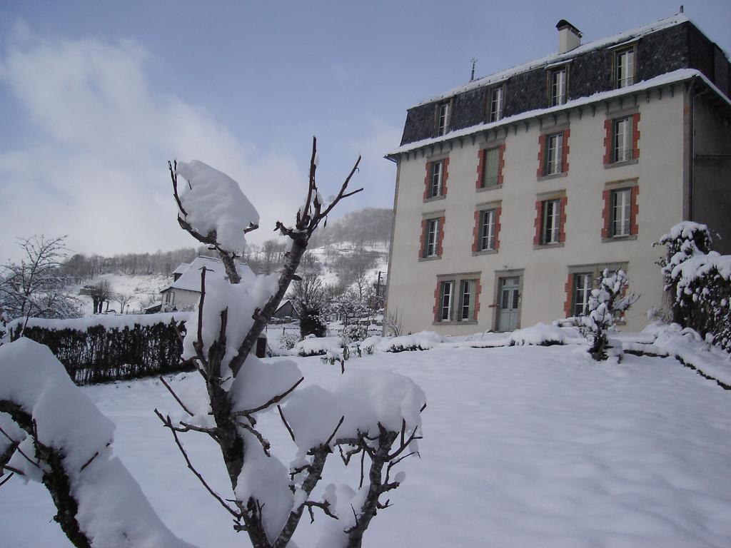 Hotel La Maison De Jeanne Thiézac Exterior foto